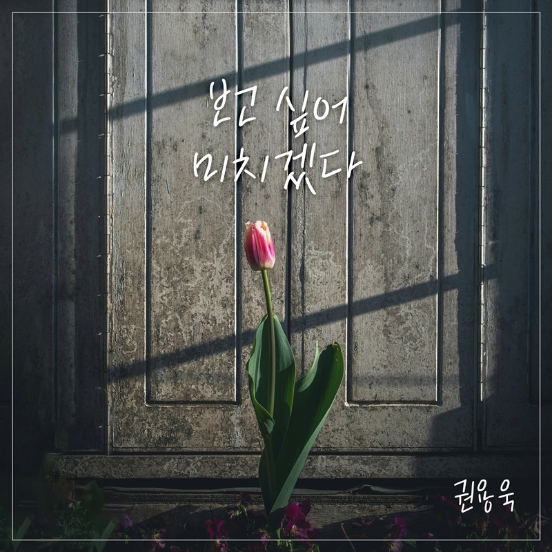 [사진 제공: 요구르트 스튜디오]