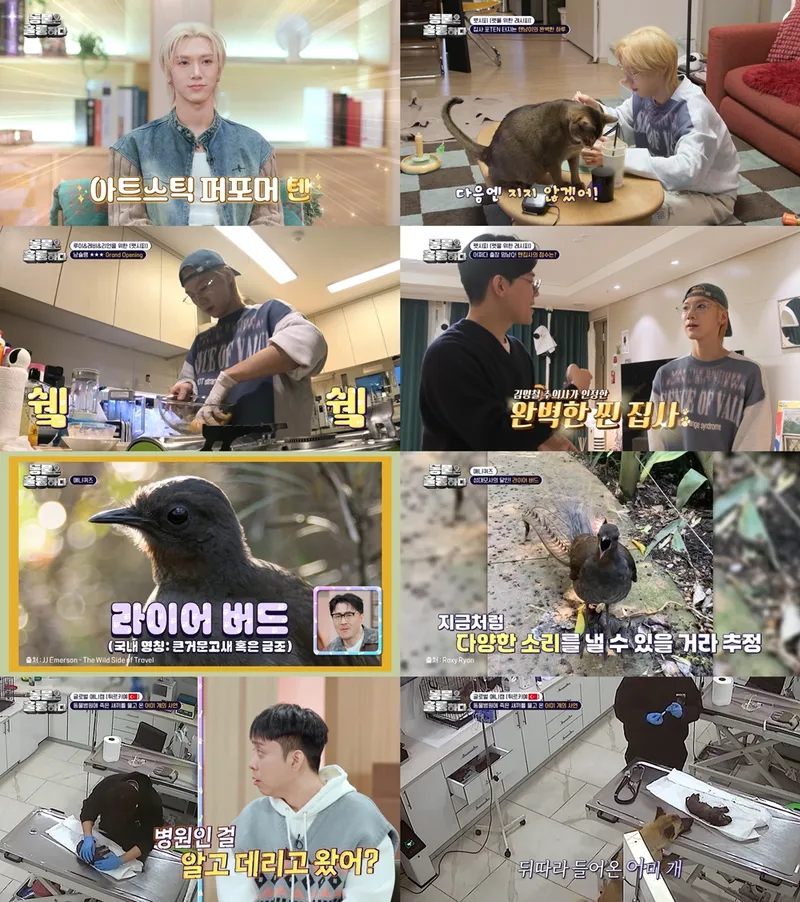 [사진 = KBS2 '동물은 훌륭하다' 방송 캡처]