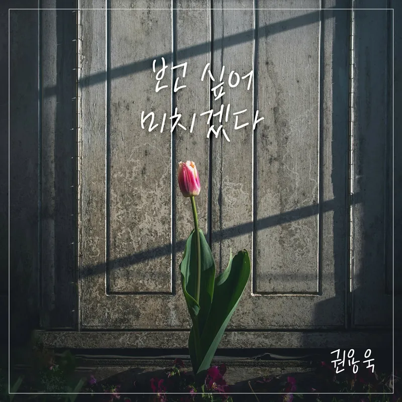 [사진 제공: 요구르트 스튜디오]